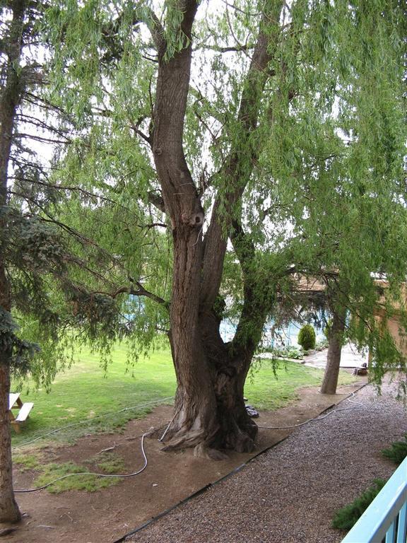 Indian Hills Inn, Taos Plaza المظهر الخارجي الصورة